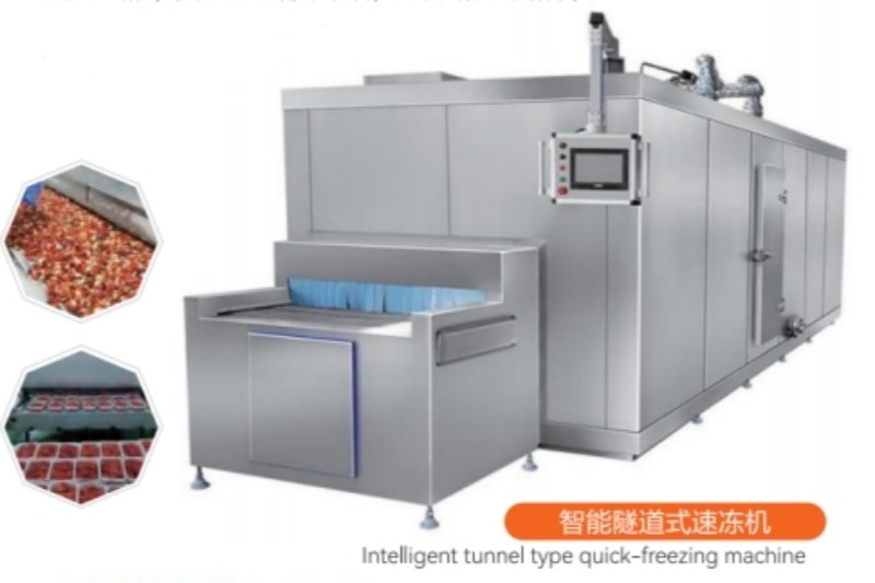 12Tunnel Freezer855 12Tunnel Freezer855